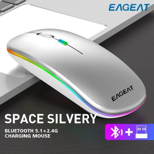 Computer Mouse (USB/Wireless)
